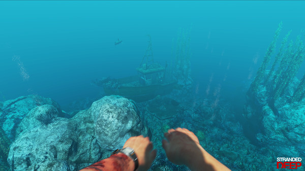 荒岛求生.Stranded Deep_1