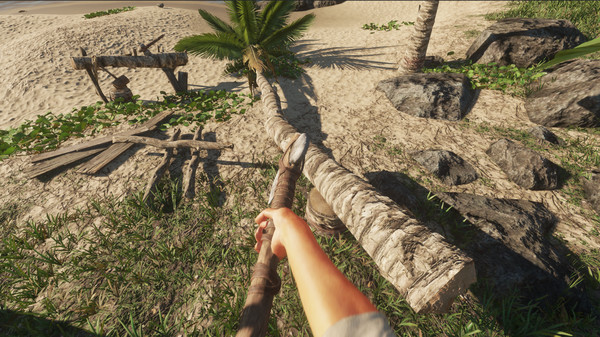荒岛求生.Stranded Deep_2