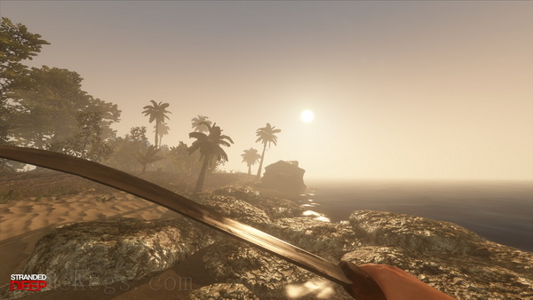 荒岛求生.Stranded Deep_0