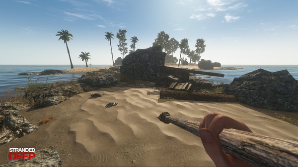 荒岛求生.Stranded Deep_1