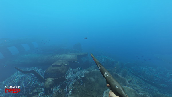 荒岛求生.Stranded Deep_2