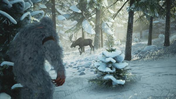 寻找大脚怪.BIGFOOT_5