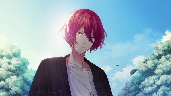 B-项目：流星幻想曲.B-Project: Ryuusei Fantasia_0