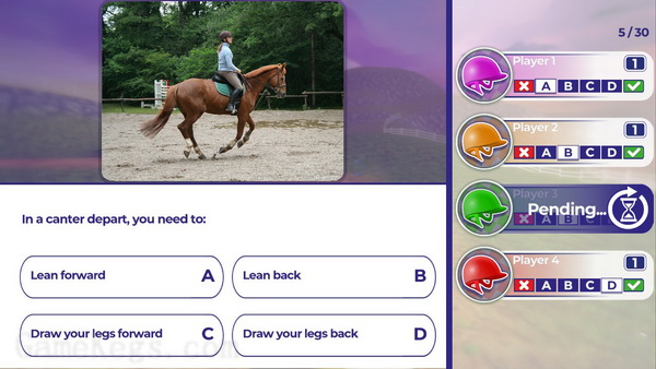 马术训练.Equestrian Training_3