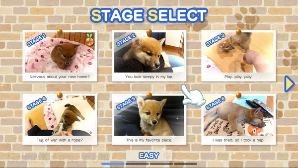 Pixel Game Maker Series Shiba Mekuri_0
