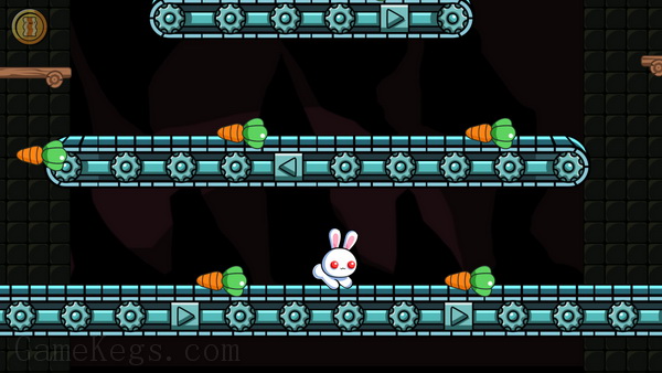 美丽奇异兔子.A Pretty Odd Bunny_5