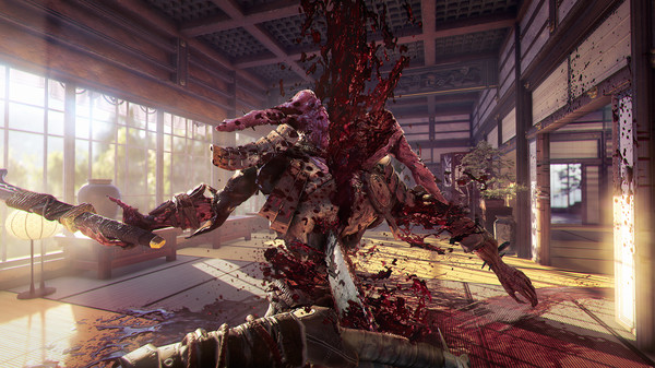 影子武士2：豪华版.Shadow Warrior 2 Deluxe_1