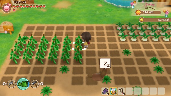 牧场物语：重聚矿石镇.STORY OF SEASONS: Friends of Mineral Town_2