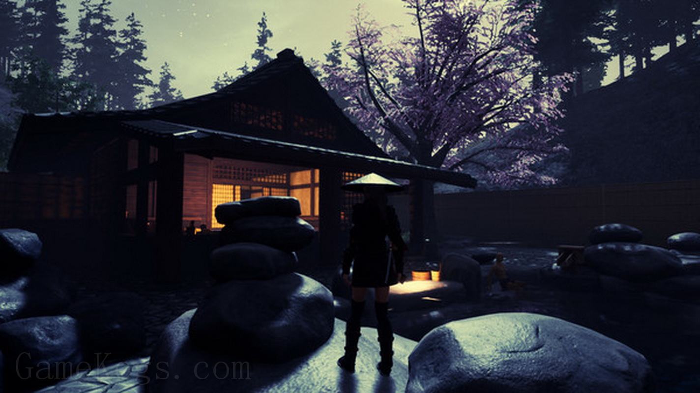 忍者传：三好家的陨落.Tale of Ninja Fall of the Miyoshi_0