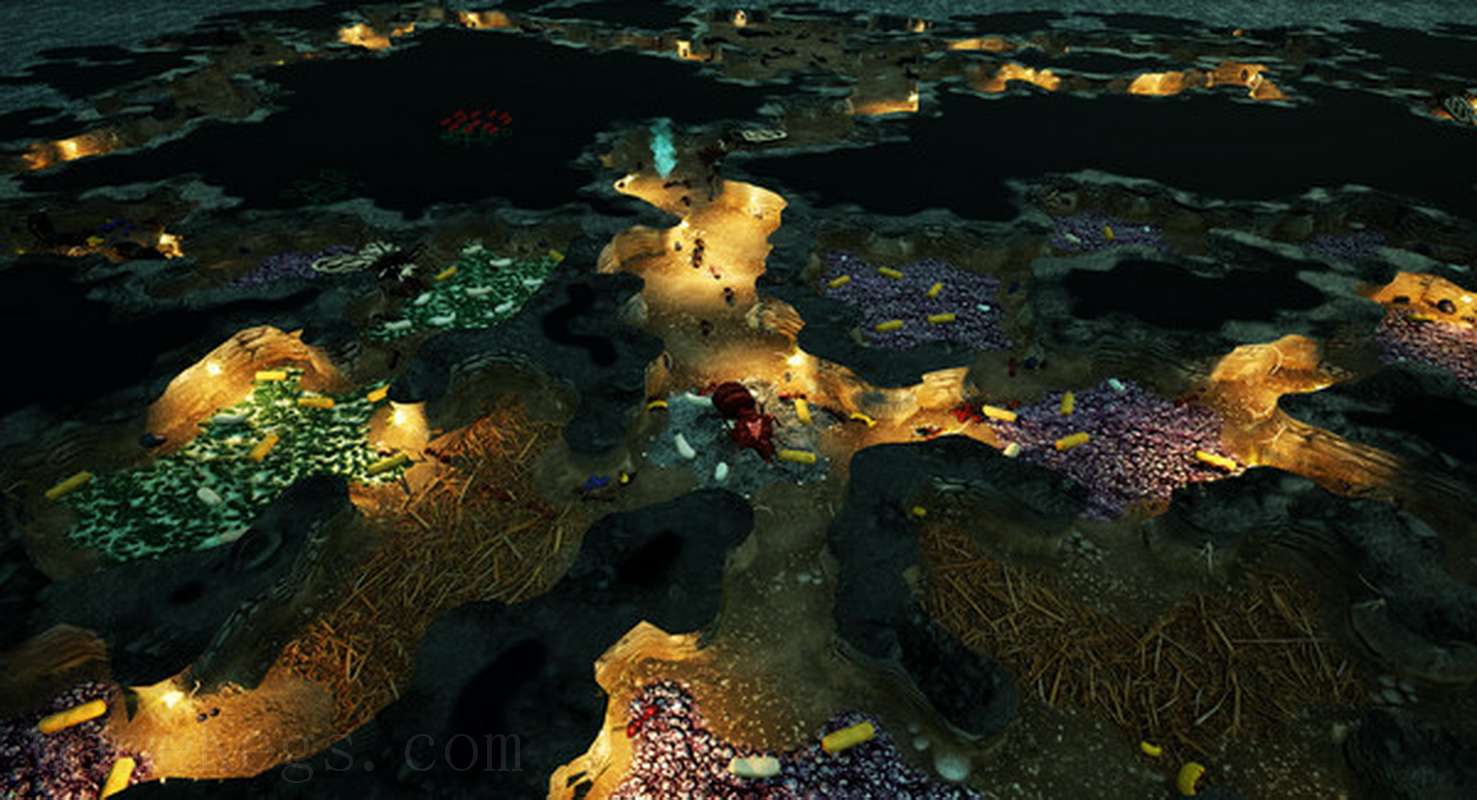 地下蚁国.Empires of the Undergrowth Hibernation_4