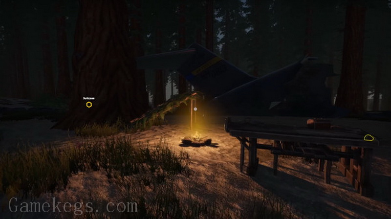 Missing Plane Survival_0