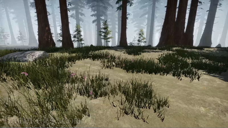 Missing Plane Survival_1