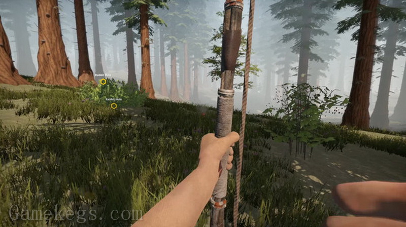 Missing Plane Survival_2