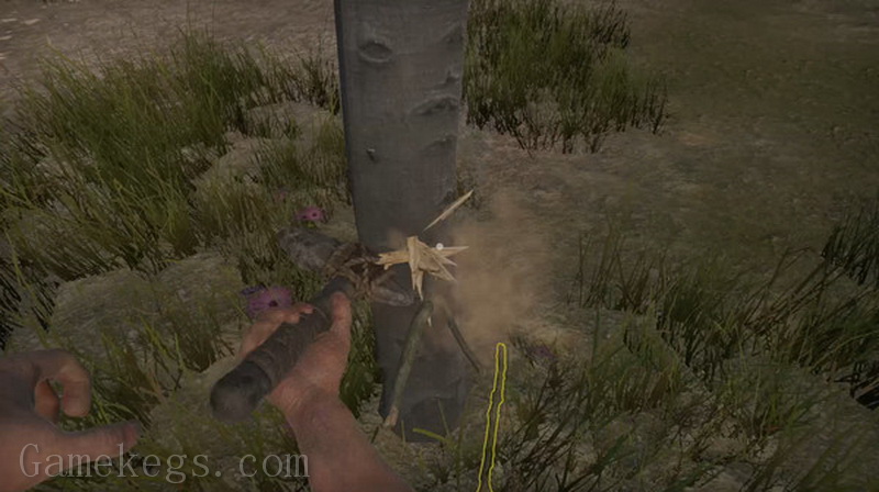 Missing Plane Survival_3
