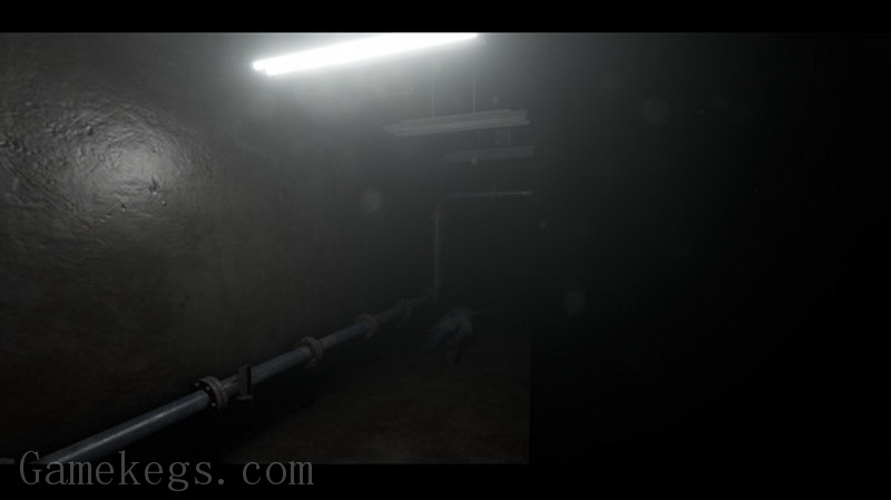 Within Skerry_5