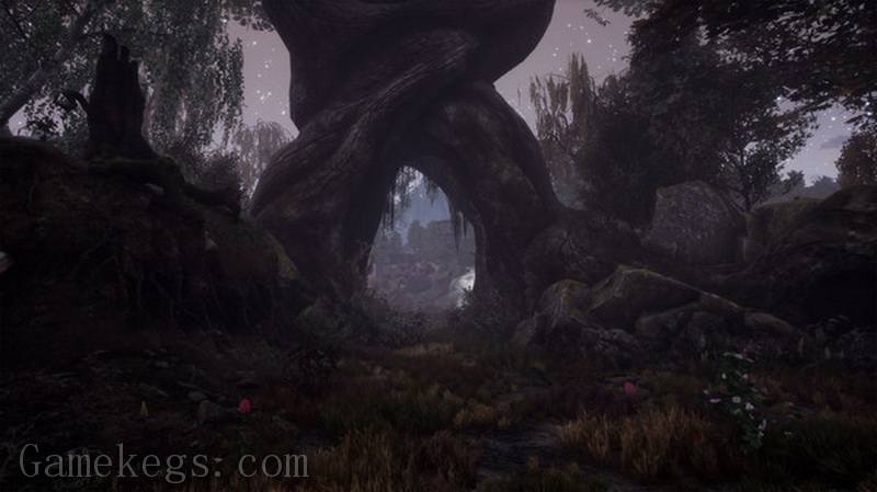 兰古纳的枯树.The Dead Tree of Ranchiuna_2
