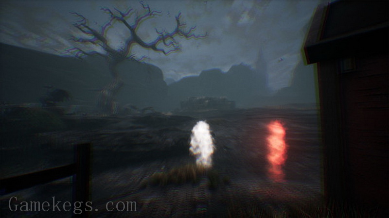 兰古纳的枯树.The Dead Tree of Ranchiuna_4