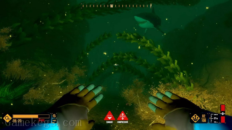 深潜探险.Deep Diving Adventures_0