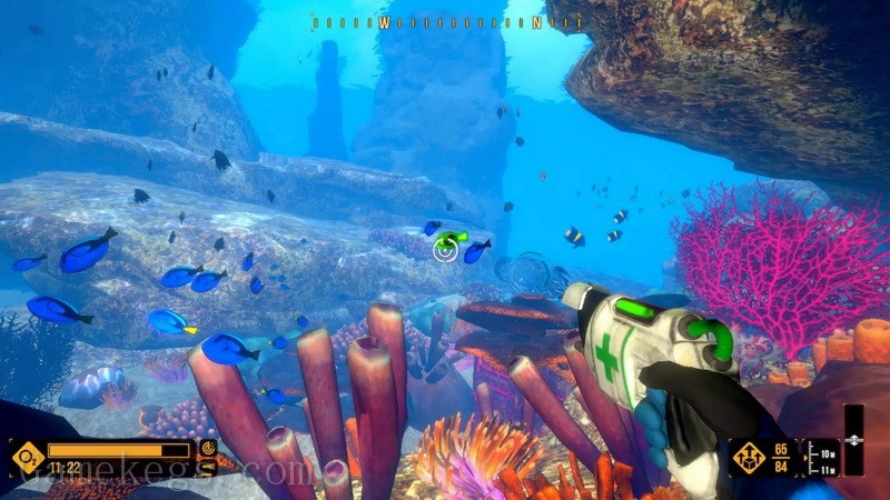 深潜探险.Deep Diving Adventures_4