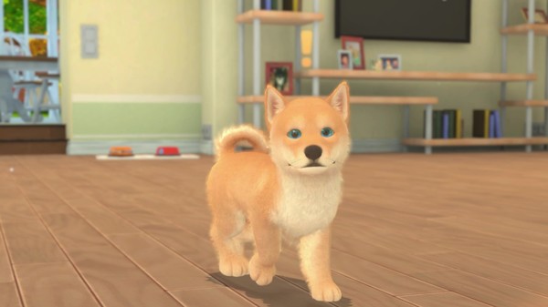 我的领域：小猫小狗.My Universe – Puppies & Kittens_1
