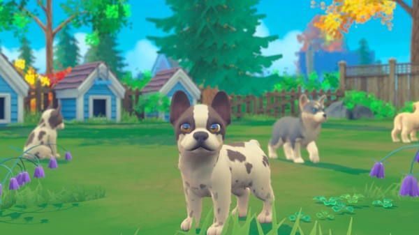 我的领域：小猫小狗.My Universe – Puppies & Kittens_2
