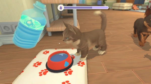 我的领域：小猫小狗.My Universe – Puppies & Kittens_4