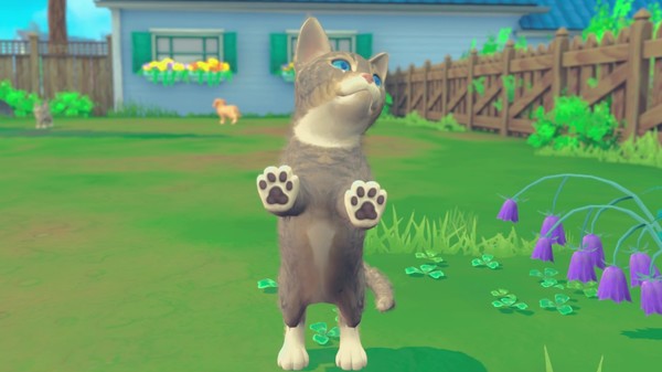 我的领域：小猫小狗.My Universe – Puppies & Kittens_5