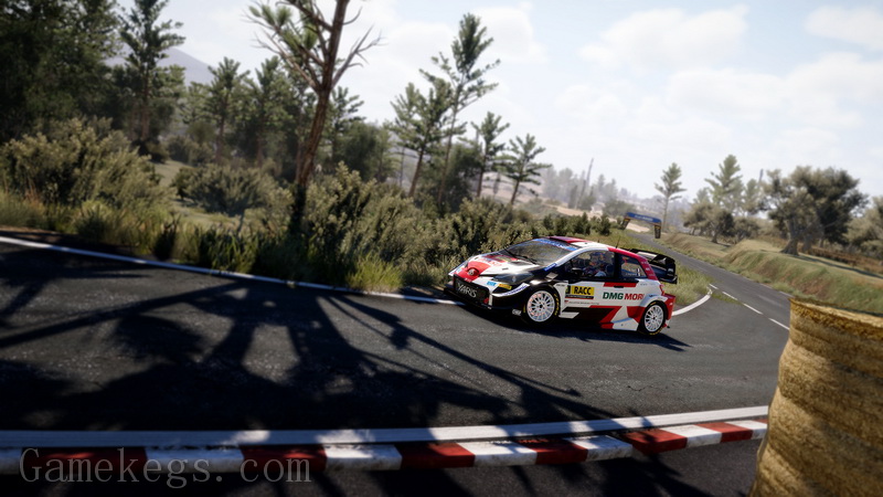国际汽车联盟世界拉力锦标赛10.WRC 10 The Official Game_2