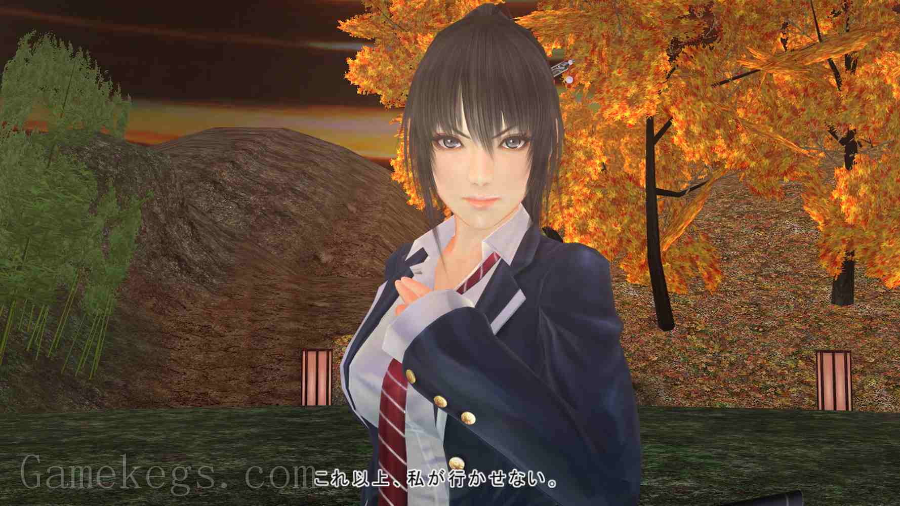 巫剑神威控.Mitsurugi Kamui Hikae_5