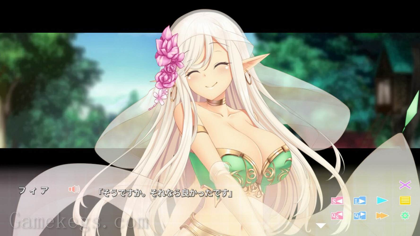与异世界的少女结婚.Isekai Musume to Konkatsuchuu: Isekai Bride Hunting_0