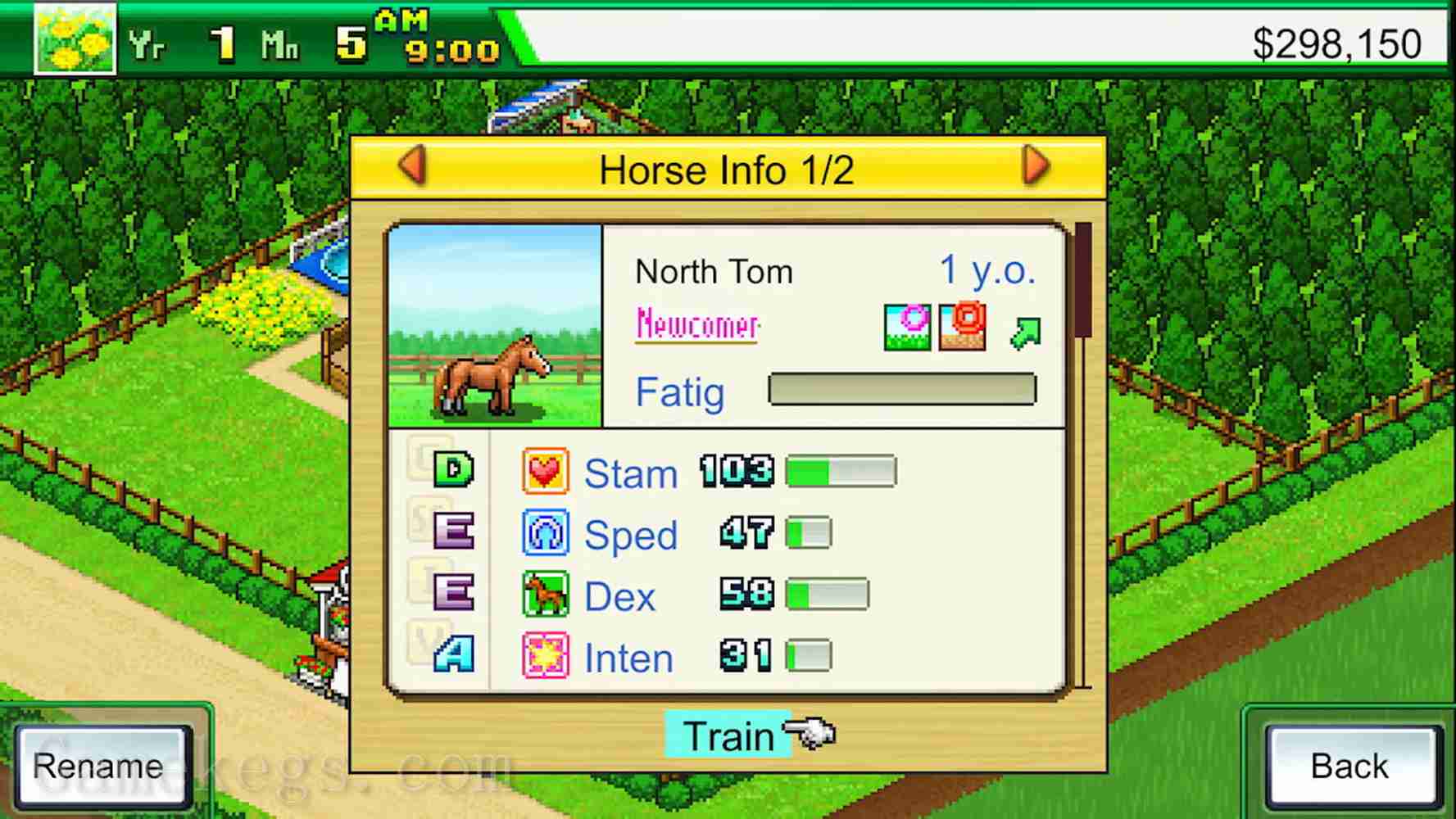 赛马牧场物语.Pocket Stables_1