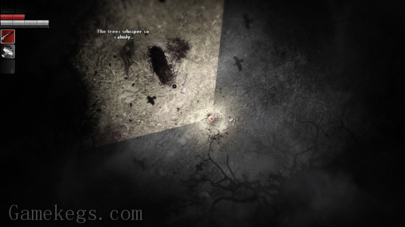 阴暗森林.Darkwood_2