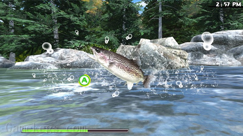 户外钓鱼：公路旅行冒险.Reel Fishing: Road Trip Adventure_3