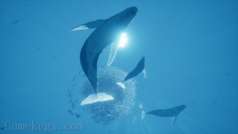 智慧之海.Abzu_2