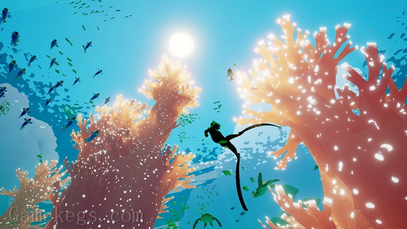 智慧之海.Abzu_3