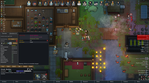 边缘世界.RimWorld_0