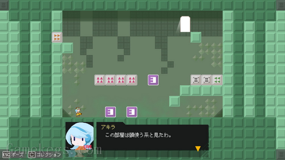 查卡王的迷宫.Labyrinth of the Chaka King_2