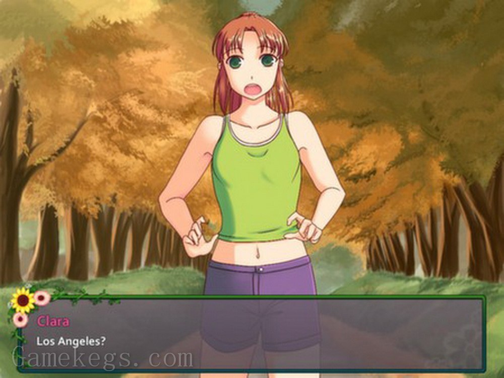 花店：菲尔布洛克之夏.Flower Shop: Summer In Fairbrook_1