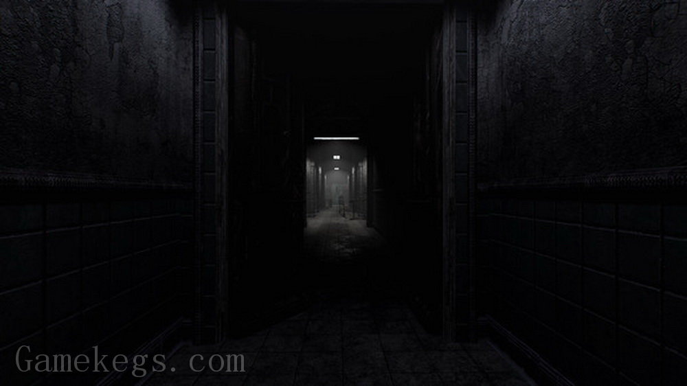 疯狂之源.Rise of Insanity_5