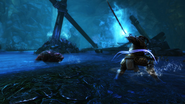阿玛拉王国：惩罚 – 命运版.Kingdoms of Amalur: Re-Reckoning FATE Edition_3