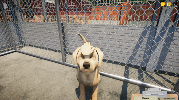 动物收容所.Animal Shelter_5
