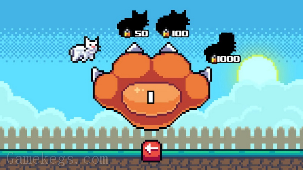 飞猫.Fly Cat_0