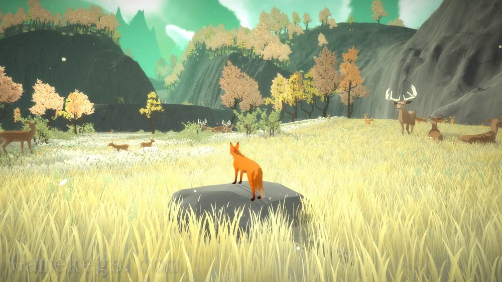 第一棵树.The First Tree_1
