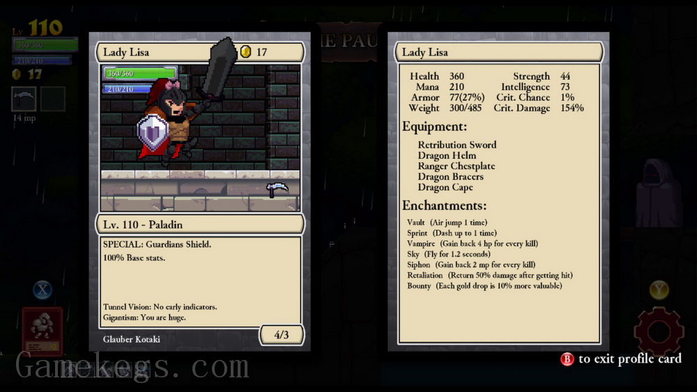 盗贼遗产. Rogue Legacy_0