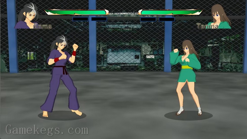 像素游戏制作大师系列：王国斗士R.Pixel Game Maker Series KINGDOM FIGHTER_0