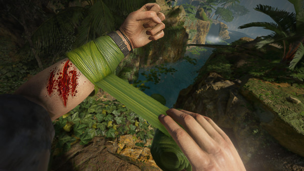 绿色地狱VR.Green Hell VR_4