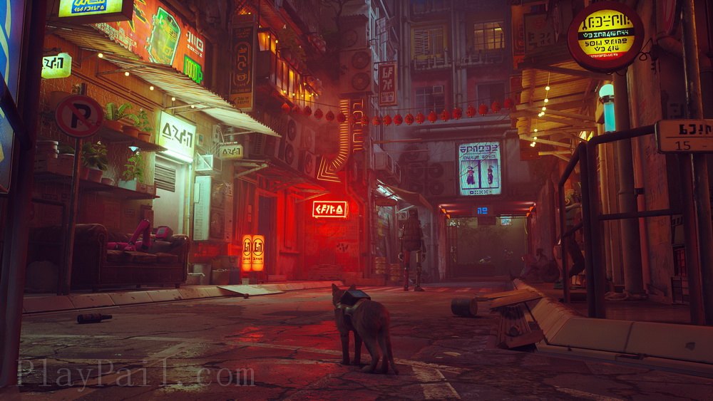 流浪猫.Stray_0