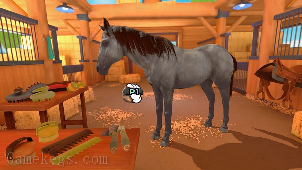 马术训练.Dein Erstes Pferd：Die Reitschule_0