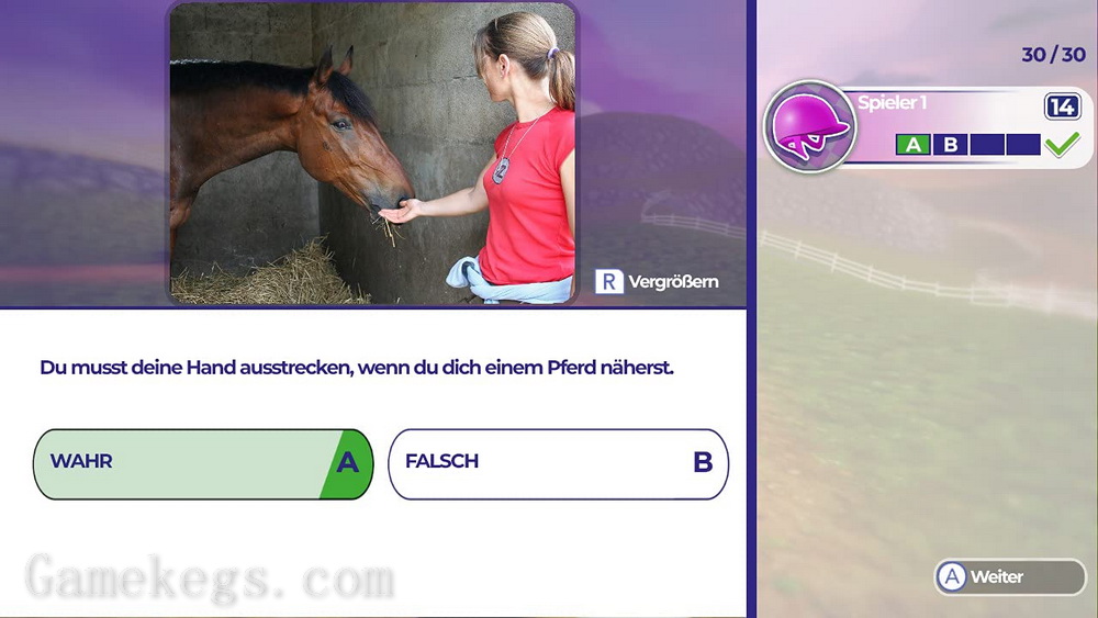 马术训练.Dein Erstes Pferd：Die Reitschule_1