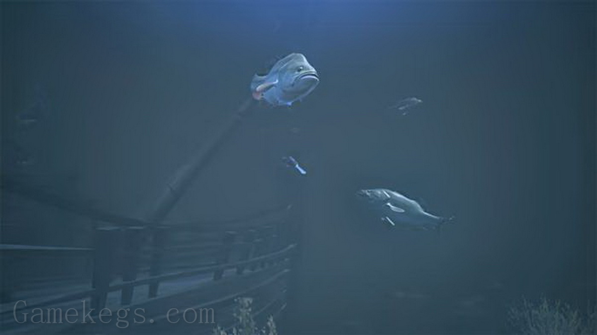 鲈鱼大师赛2022：超级豪华版.Bassmaster Fishing 2022: Super Deluxe Edition_5